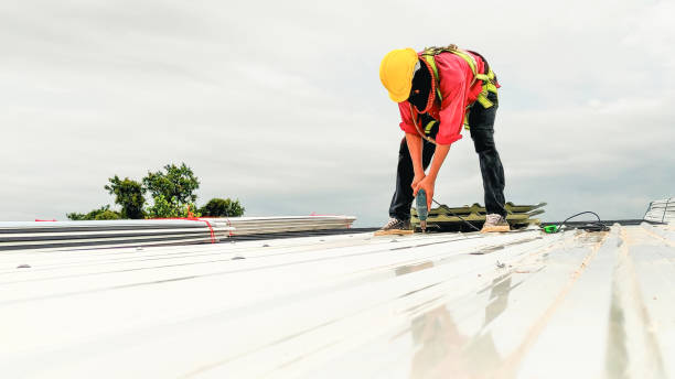 Best Gutter Installation and Repair  in Pistakee Highlands, IL