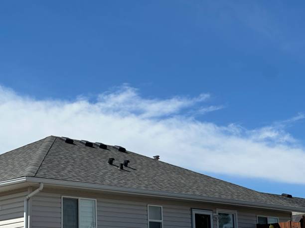 Best Cold Roofs  in Pistakee Highlands, IL